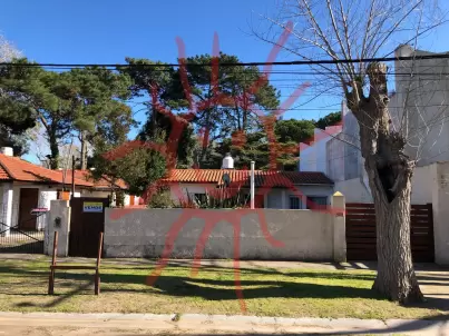 Foto del frente del cod. 566