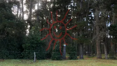 845