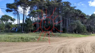 2726