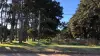 Santa Fe E/ Tucuman Y 9 De Julio, Lote 7