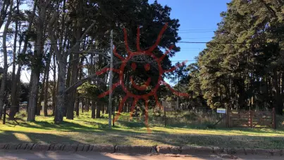 853