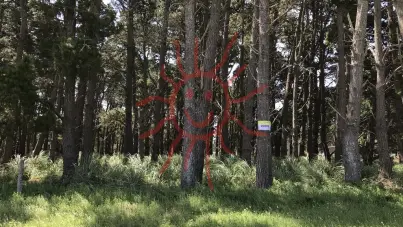 854