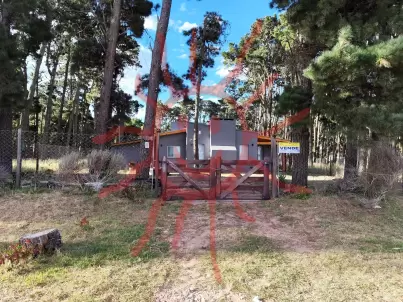 Foto del frente del cod. 330
