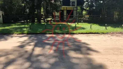 219