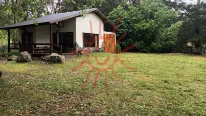 32